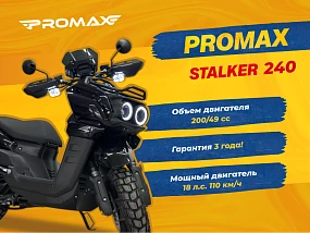Скутер PROMAX STALKER 240(49)