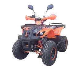 Квадроцикл ATV Termit Libre