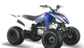 Квадроцикл ATV Pantera 150 CVT