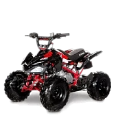 Квадроцикл ACCESS AMS 110 MINISPORT