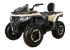 Квадроцикл APAKANI Ironhide 300 LD