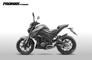 Мотоцикл PROMAX MT300