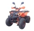 Квадроцикл ATV Termit Libre
