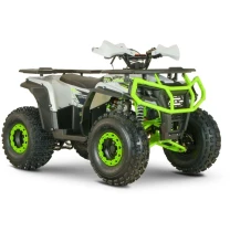 Квадроцикл YACOTA DRAGON 125