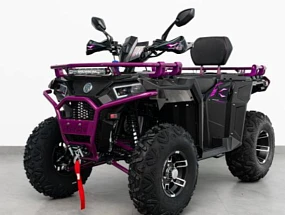 Квадроцикл APAKANI OPTIMUS 250 LD