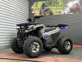 Квадроцикл GBM DAXTER 220 NEW PREMIUM Квадроцикл GBM DAXTER 220 NEW PREMIUM