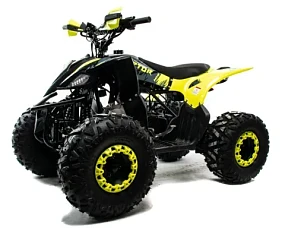 Квадроцикл MOTOLAND (МОТОЛЕНД) 125 RAPTOR A